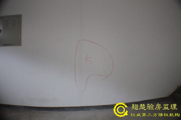 南京綠城頂級別墅交房委托查驗 綠城玫瑰園驗房