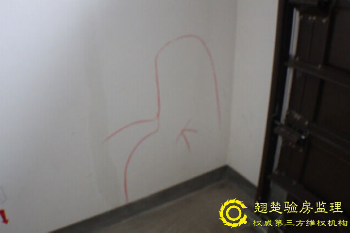 南京綠城頂級別墅交房委托查驗 綠城玫瑰園驗房