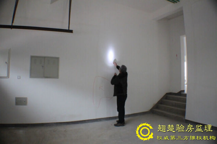 南京綠城頂級別墅交房委托查驗 綠城玫瑰園驗房