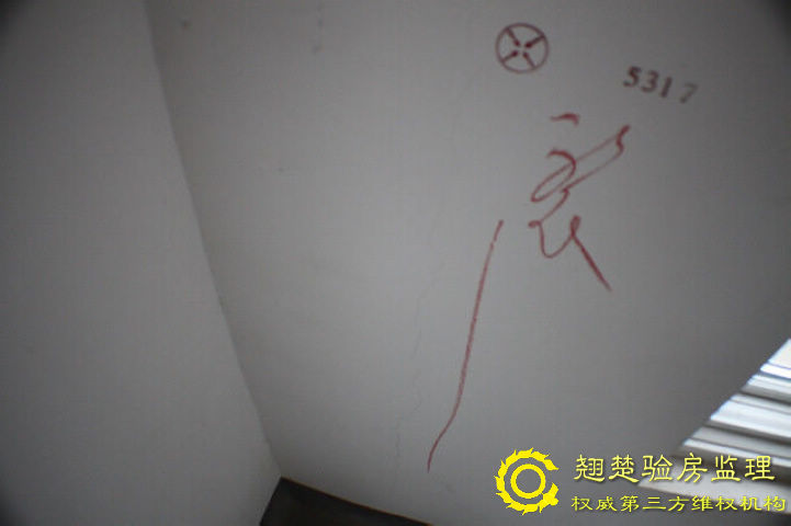 南京綠城頂級別墅交房委托查驗 綠城玫瑰園驗房