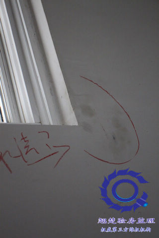 南京綠城頂級別墅交房委托查驗 綠城玫瑰園驗房