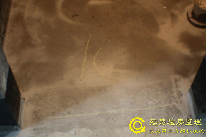 南京綠城頂級別墅交房委托查驗 綠城玫瑰園驗房