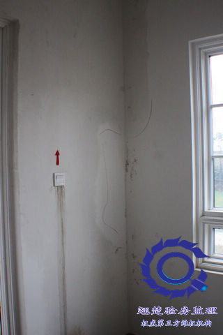 南京綠城頂級別墅交房委托查驗 綠城玫瑰園驗房