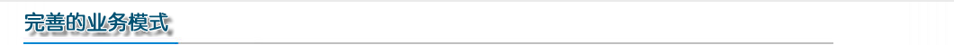 完善的業務模式